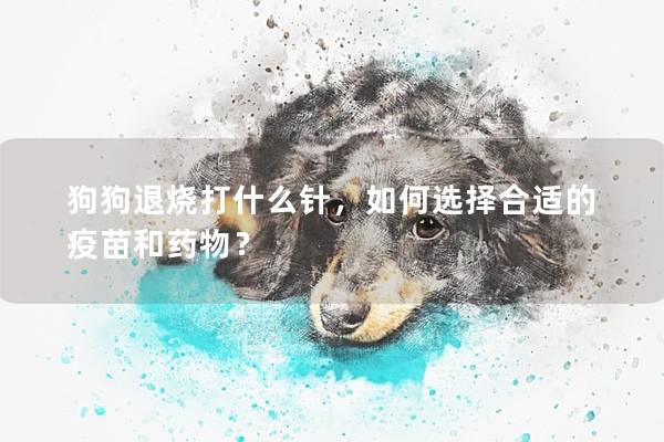 狗狗退烧打什么针，如何选择合适的疫苗和药物？