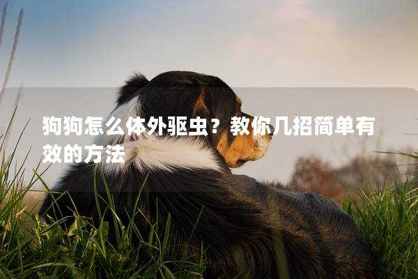 狗狗怎么体外驱虫？教你几招简单有效的方法