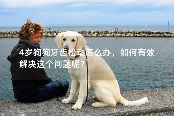 4岁狗狗牙齿松动怎么办，如何有效解决这个问题呢？