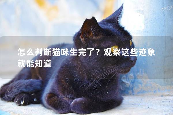 怎么判断猫咪生完了？观察这些迹象就能知道