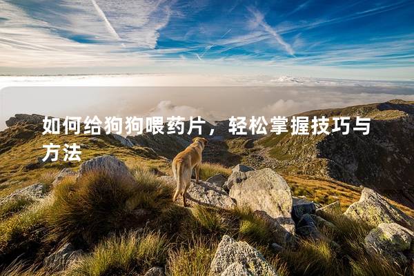 如何给狗狗喂药片，轻松掌握技巧与方法