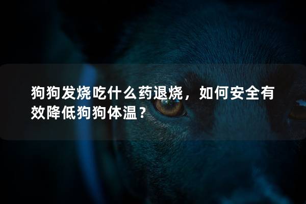 狗狗发烧吃什么药退烧，如何安全有效降低狗狗体温？
