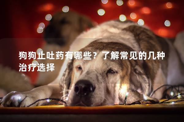 狗狗止吐药有哪些？了解常见的几种治疗选择