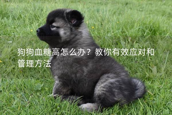 狗狗血糖高怎么办？教你有效应对和管理方法
