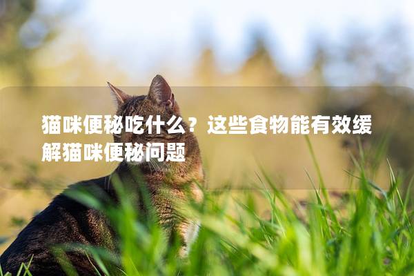 猫咪便秘吃什么？这些食物能有效缓解猫咪便秘问题