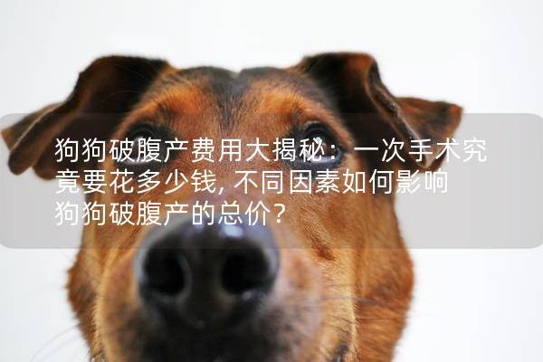狗狗破腹产费用大揭秘：一次手术究竟要花多少钱, 不同因素如何影响狗狗破腹产的总价？