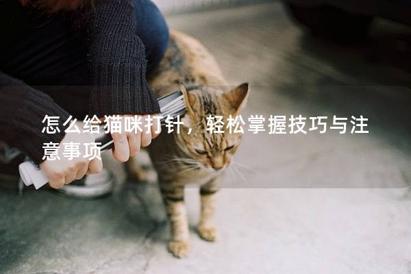 怎么给猫咪打针，轻松掌握技巧与注意事项