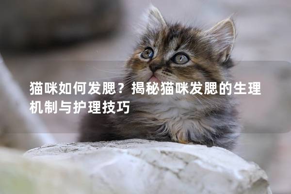 猫咪如何发腮？揭秘猫咪发腮的生理机制与护理技巧