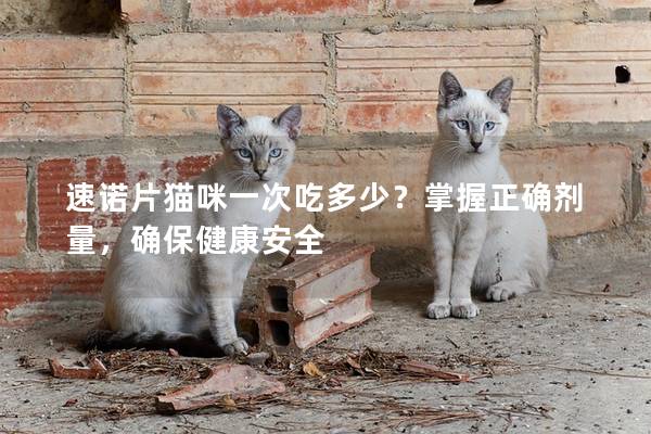 速诺片猫咪一次吃多少？掌握正确剂量，确保健康安全