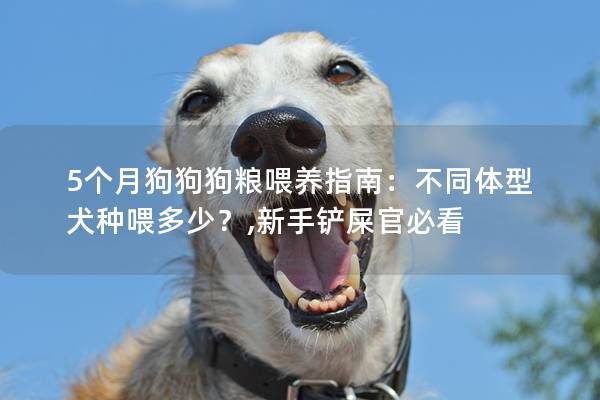 5个月狗狗狗粮喂养指南：不同体型犬种喂多少？,新手铲屎官必看