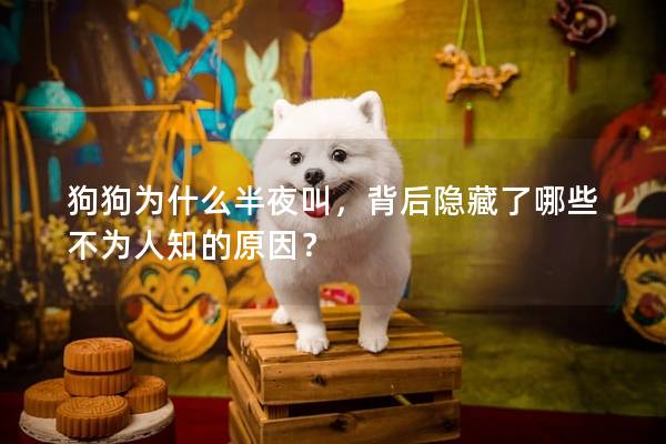 狗狗为什么半夜叫，背后隐藏了哪些不为人知的原因？