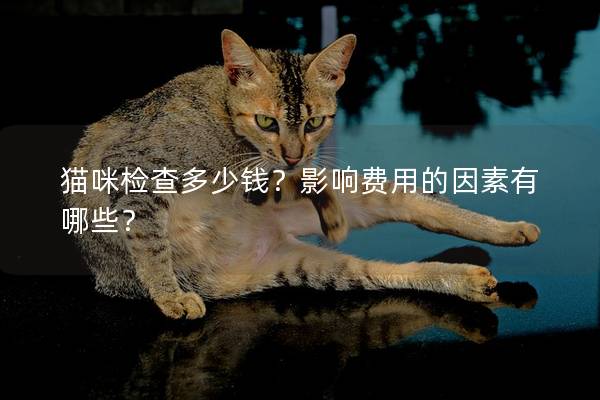 猫咪检查多少钱？影响费用的因素有哪些？