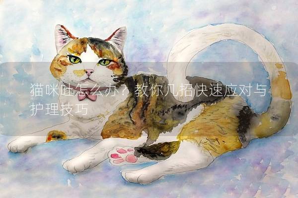 猫咪吐怎么办？教你几招快速应对与护理技巧