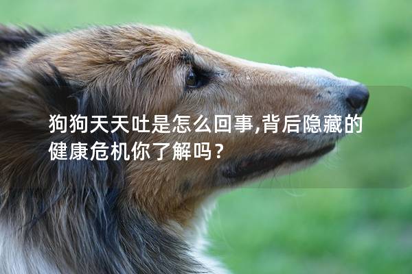 狗狗天天吐是怎么回事,背后隐藏的健康危机你了解吗？