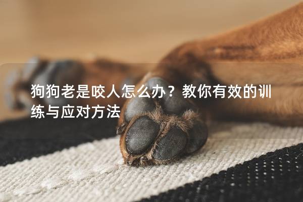 狗狗老是咬人怎么办？教你有效的训练与应对方法