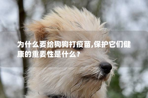 为什么要给狗狗打疫苗,保护它们健康的重要性是什么？