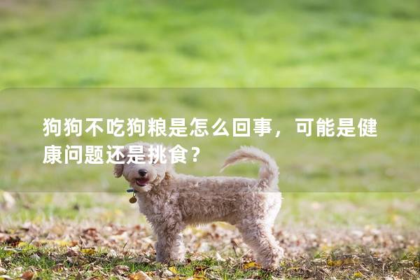 狗狗不吃狗粮是怎么回事，可能是健康问题还是挑食？