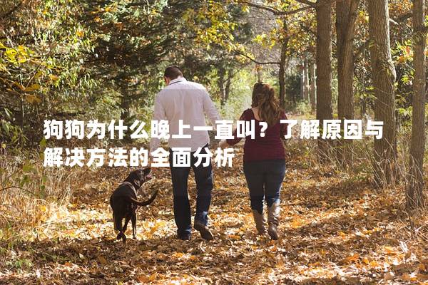 狗狗为什么晚上一直叫？了解原因与解决方法的全面分析