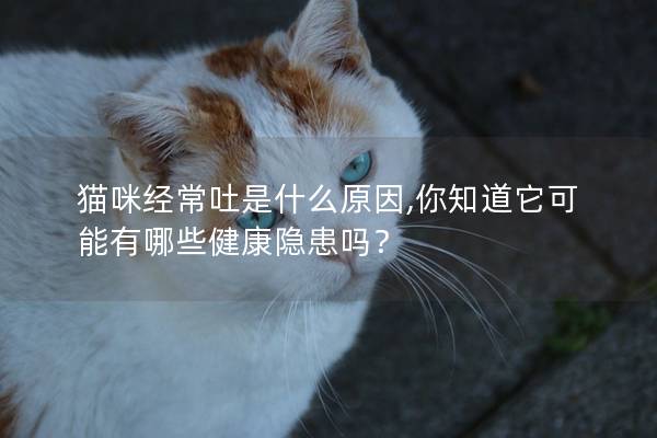 猫咪经常吐是什么原因,你知道它可能有哪些健康隐患吗？
