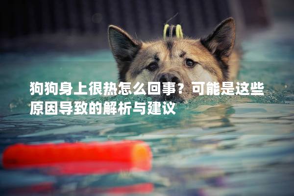 狗狗身上很热怎么回事？可能是这些原因导致的解析与建议