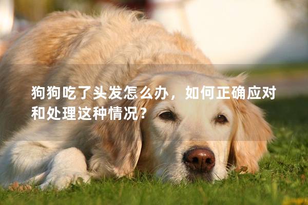 狗狗吃了头发怎么办，如何正确应对和处理这种情况？