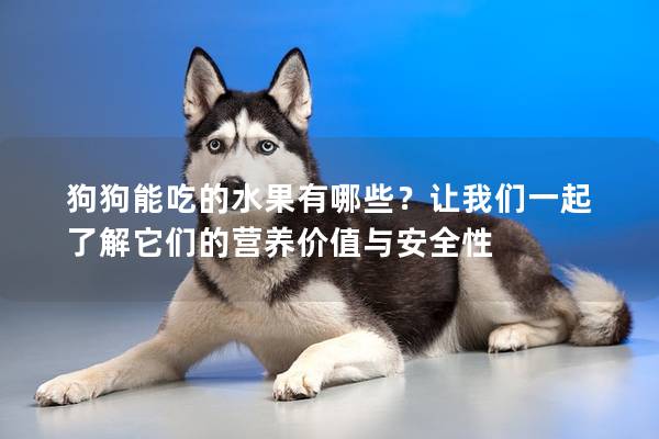 狗狗能吃的水果有哪些？让我们一起了解它们的营养价值与安全性