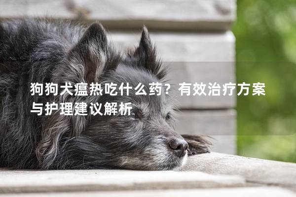 狗狗犬瘟热吃什么药？有效治疗方案与护理建议解析