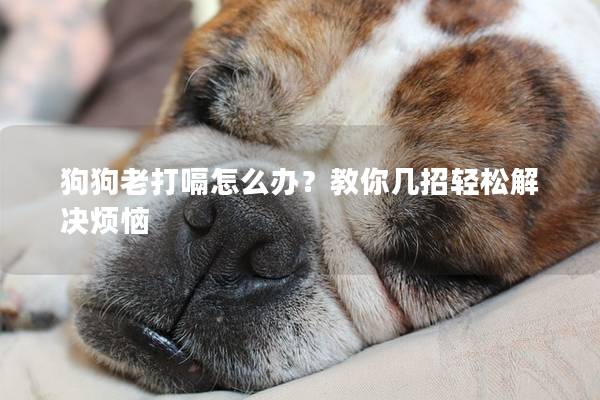狗狗老打嗝怎么办？教你几招轻松解决烦恼