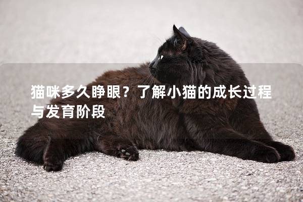 猫咪多久睁眼？了解小猫的成长过程与发育阶段