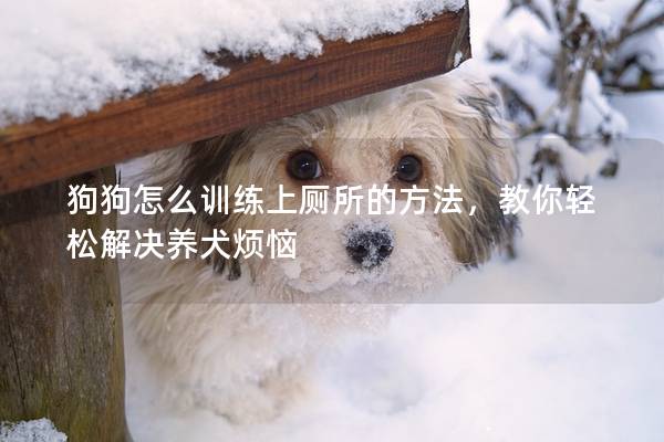 狗狗怎么训练上厕所的方法，教你轻松解决养犬烦恼