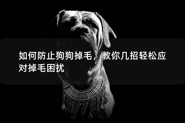 如何防止狗狗掉毛，教你几招轻松应对掉毛困扰