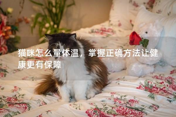 猫咪怎么量体温，掌握正确方法让健康更有保障