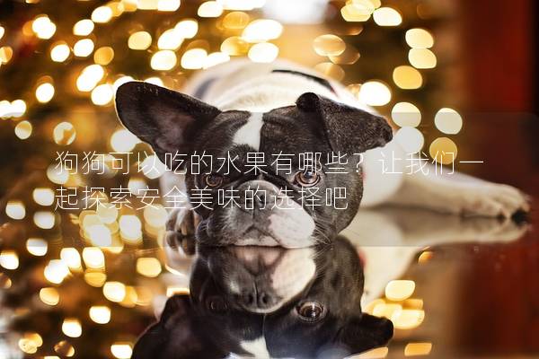 狗狗可以吃的水果有哪些？让我们一起探索安全美味的选择吧
