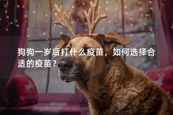 狗狗一岁后打什么疫苗，如何选择合适的疫苗？