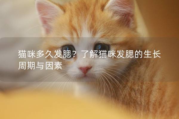 猫咪多久发腮？了解猫咪发腮的生长周期与因素