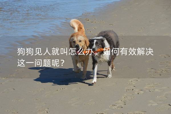 狗狗见人就叫怎么办，如何有效解决这一问题呢？
