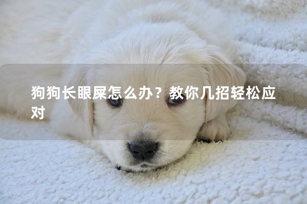 狗狗长眼屎怎么办？教你几招轻松应对