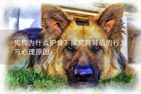 狗狗为什么护食？探究其背后的行为与心理原因