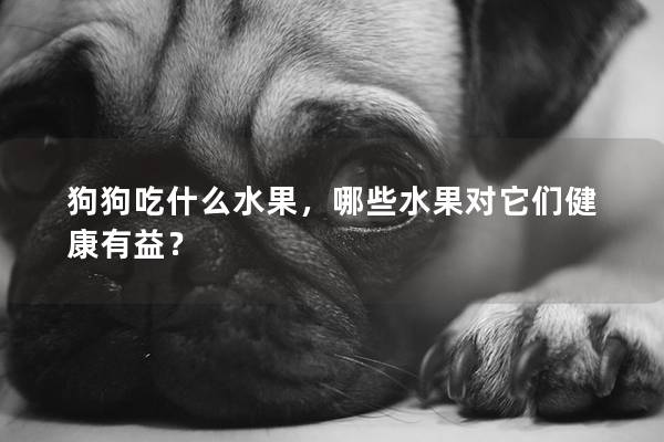 狗狗吃什么水果，哪些水果对它们健康有益？