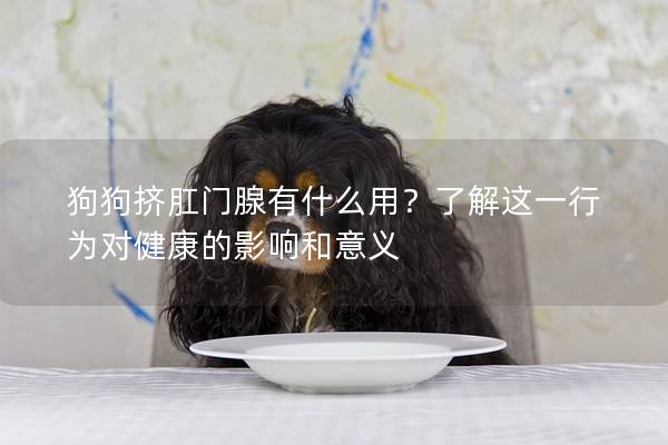 狗狗挤肛门腺有什么用？了解这一行为对健康的影响和意义