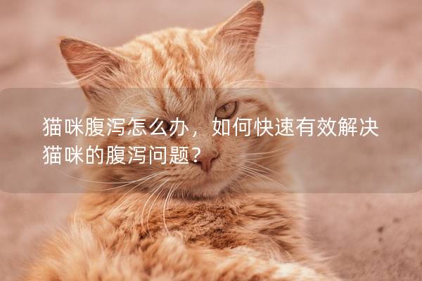 猫咪腹泻怎么办，如何快速有效解决猫咪的腹泻问题？