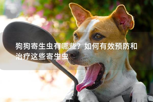 狗狗寄生虫有哪些？如何有效预防和治疗这些寄生虫