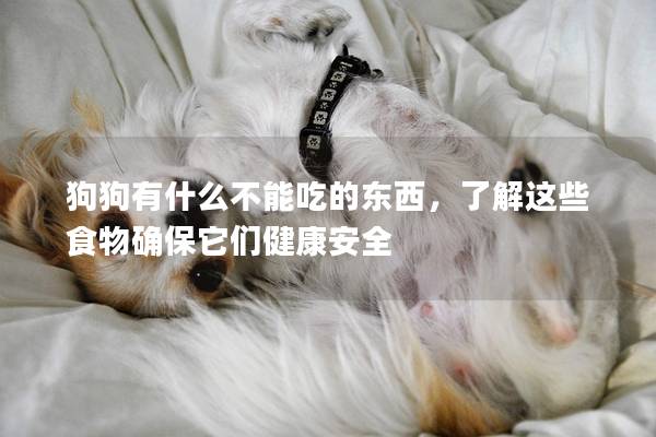 狗狗有什么不能吃的东西，了解这些食物确保它们健康安全