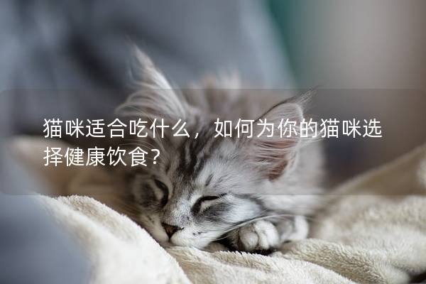 猫咪适合吃什么，如何为你的猫咪选择健康饮食？