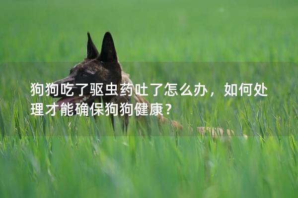狗狗吃了驱虫药吐了怎么办，如何处理才能确保狗狗健康？