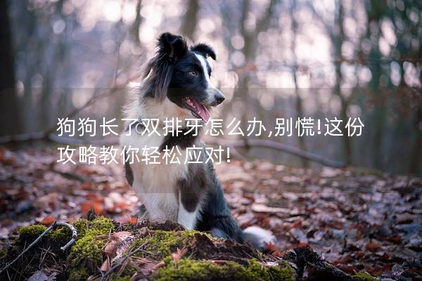 狗狗长了双排牙怎么办,别慌!这份攻略教你轻松应对!