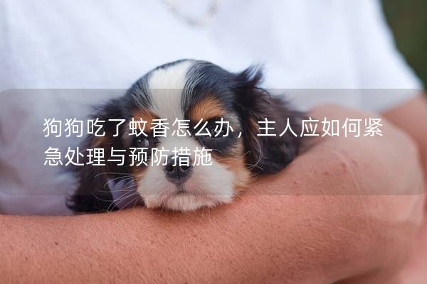 狗狗吃了蚊香怎么办，主人应如何紧急处理与预防措施