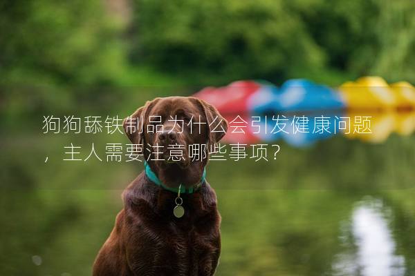 狗狗舔铁制品为什么会引发健康问题，主人需要注意哪些事项？