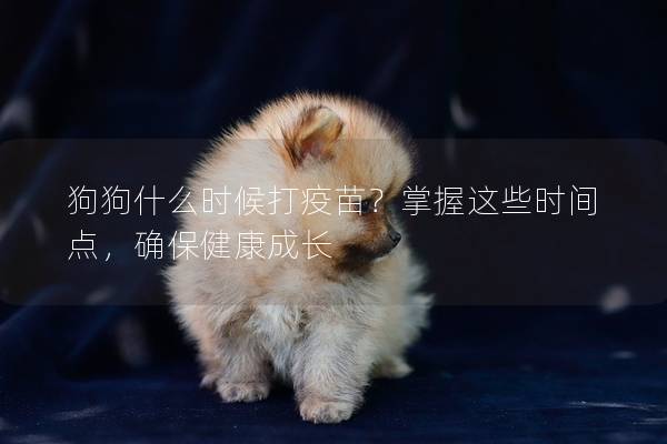 狗狗什么时候打疫苗？掌握这些时间点，确保健康成长