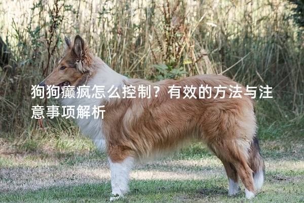狗狗癫疯怎么控制？有效的方法与注意事项解析